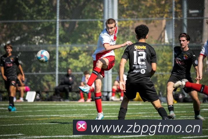 星空体育首页官网平台生态图