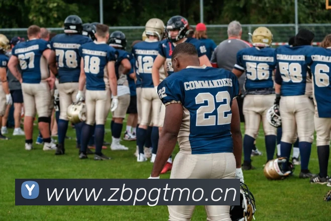 星空体育首页官网APP 封面图